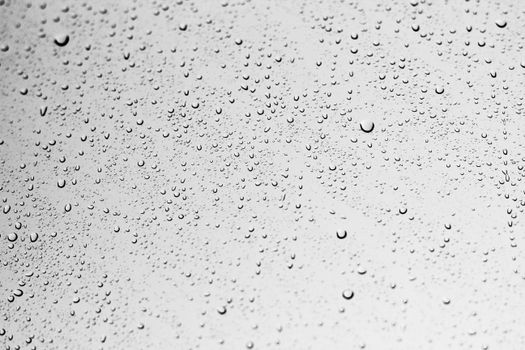 Water Rain Drops