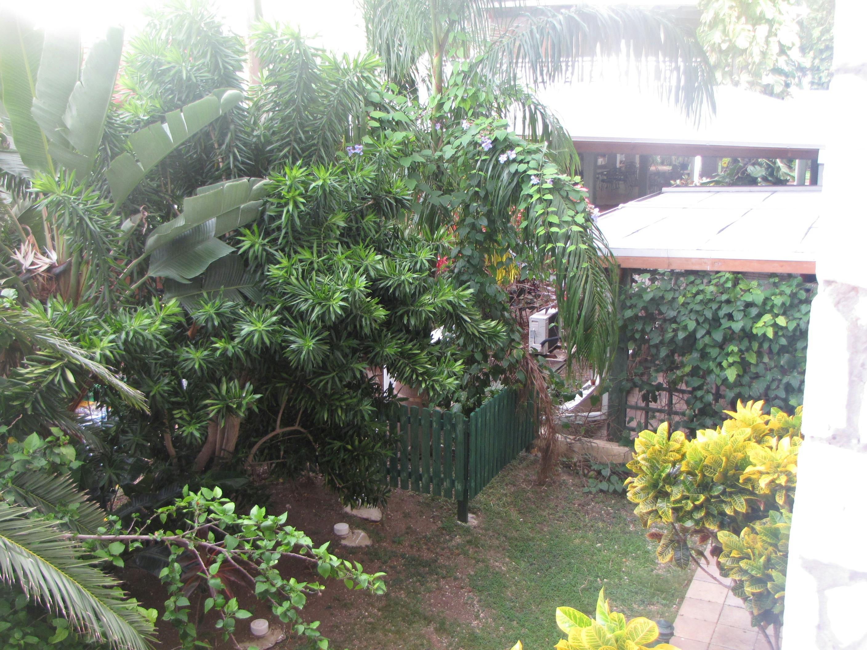 Nouvelle route Taourirt