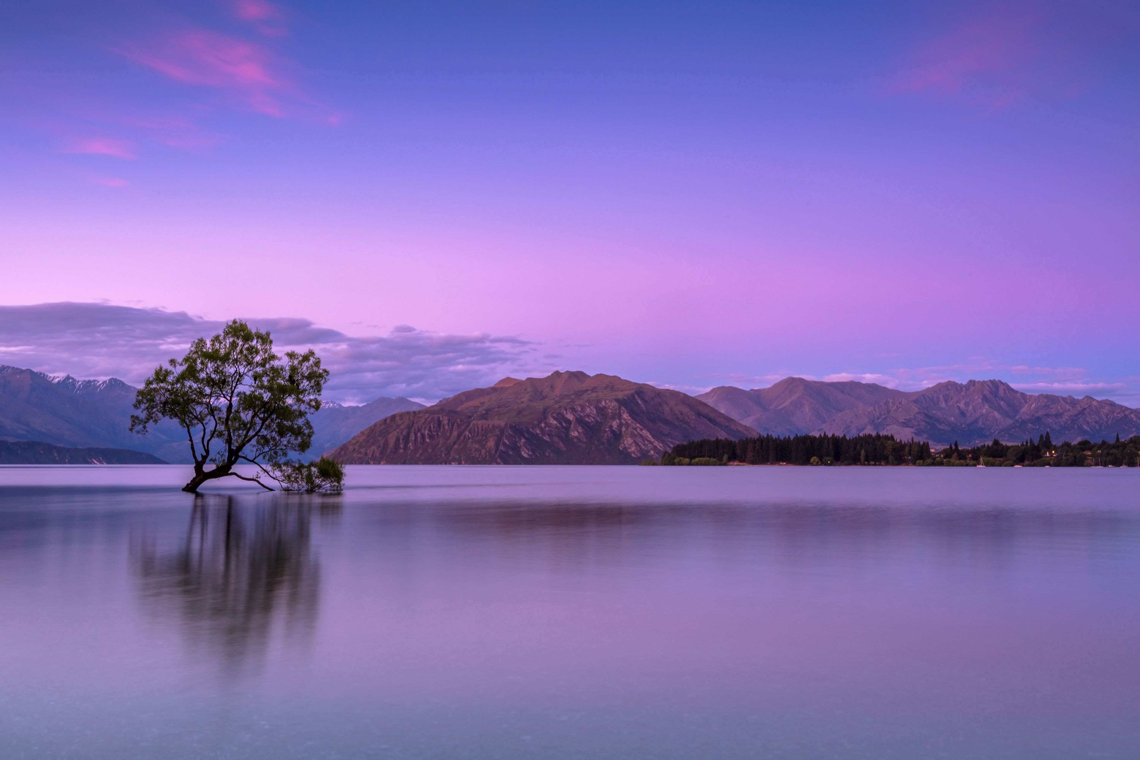 Lake Wanaka Tree Sunset