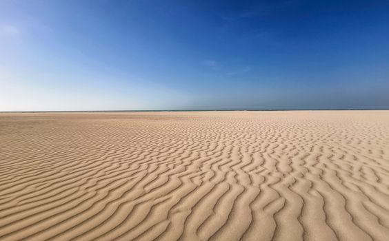 Sand Dunes on the Desert