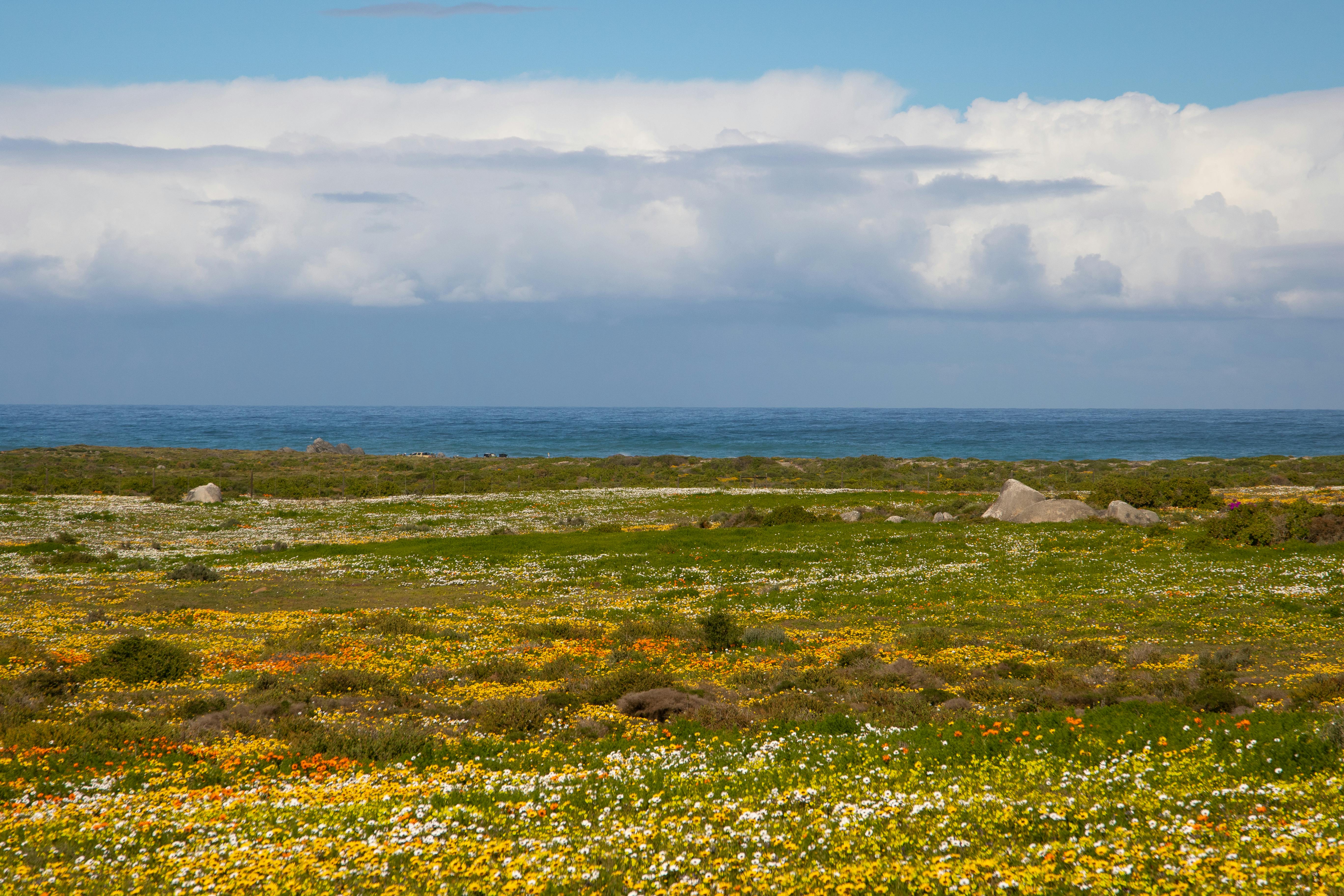 Skeleton Coast National Park