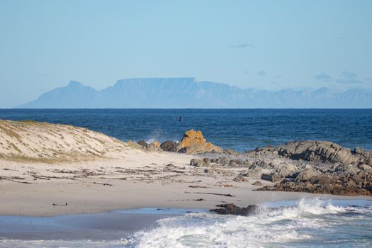 Whale watching Hermanus (season) — Cape Town