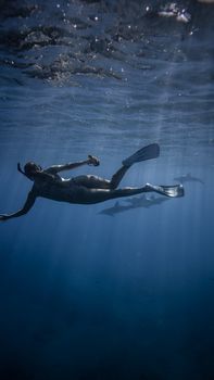 一位身穿泳装、戴着浮潜面具和脚蹼的女性旅行者，在潜水时于蓝海水中背对镜头，与海豚群一同游动