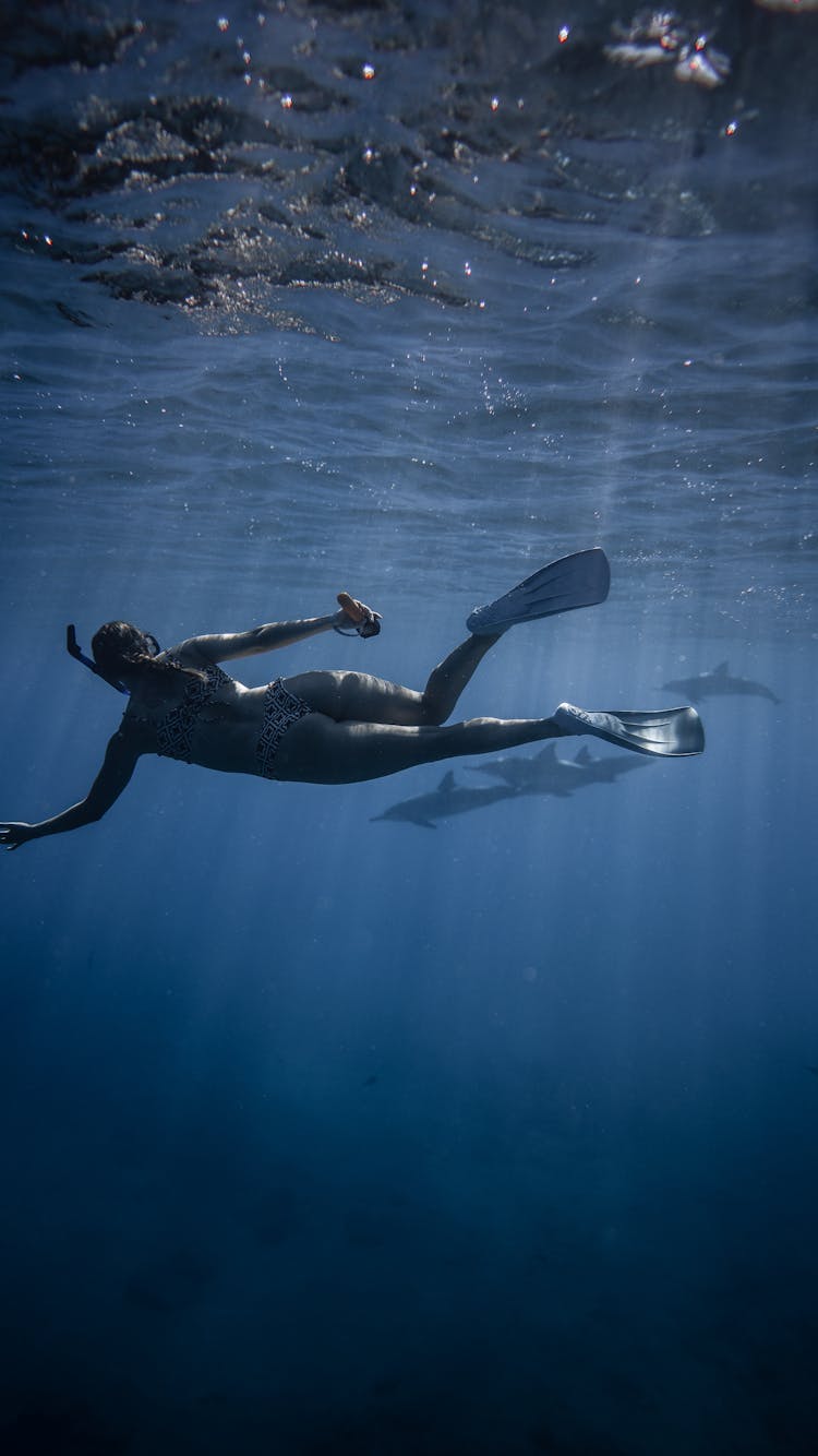 Anonymous Female Diver Swimming Undersea With Dolphins