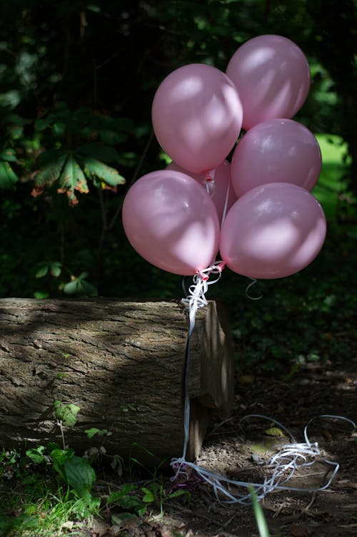 Free stock photo of balloon bouquet, balloons, pink Stock Photo