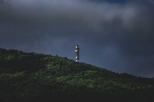 Tower and woods against stormy sky