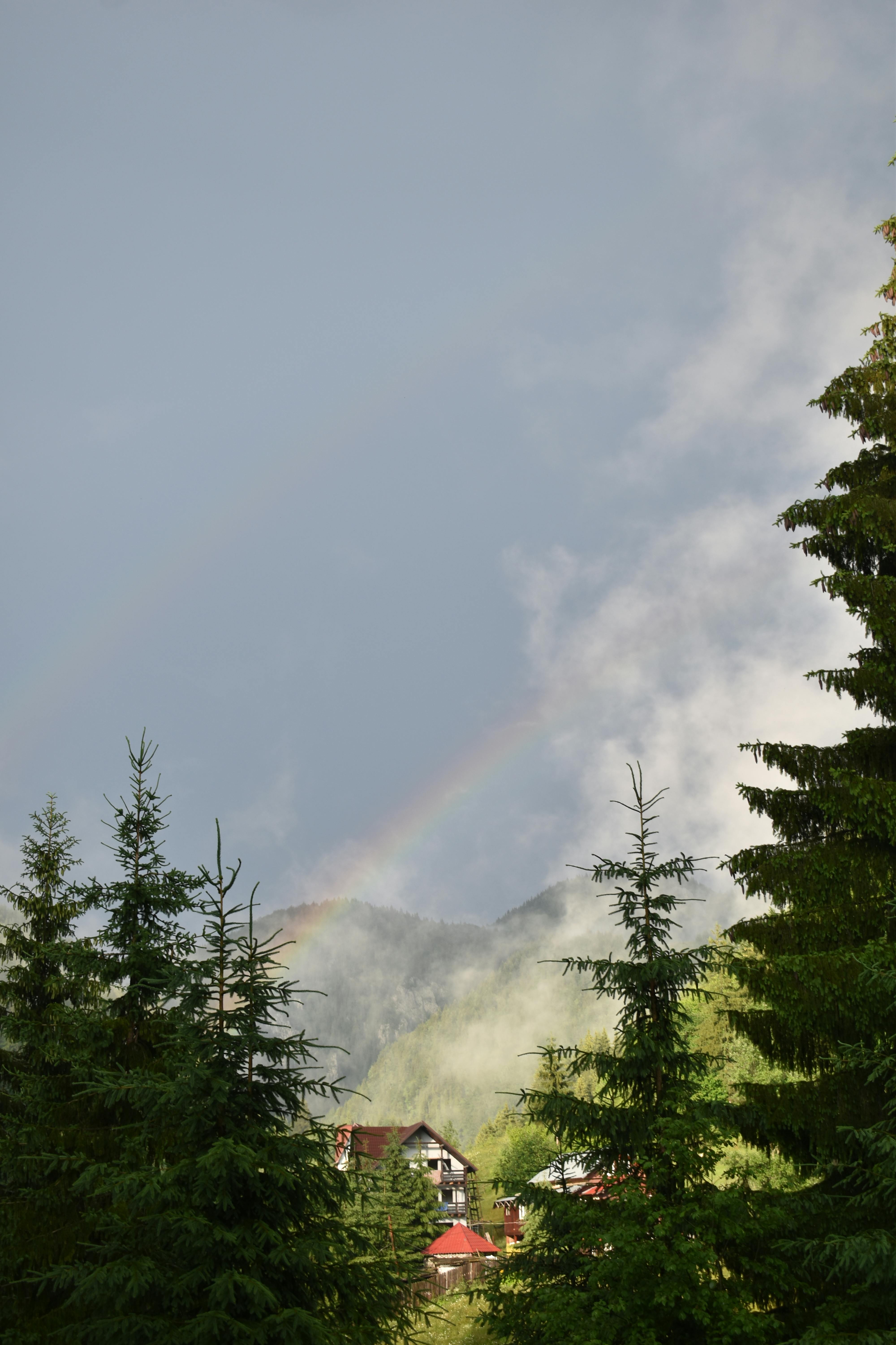 雄伟的彩虹横跨松树林、雾蒙蒙的山脉和小屋，构成一幅宁静的自然景观