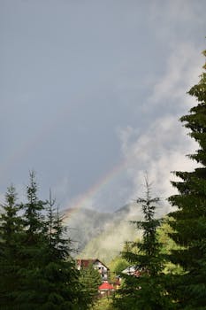 雄伟的彩虹横跨松树林、雾蒙蒙的山脉和小屋，构成一幅宁静的自然景观