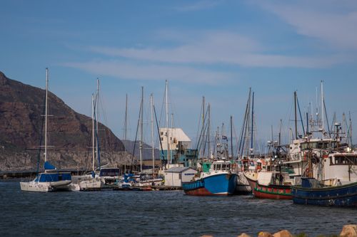 Free Beautiful view of moored boats and yachts at a dock in Cape Town, South Africa. Stock Photo