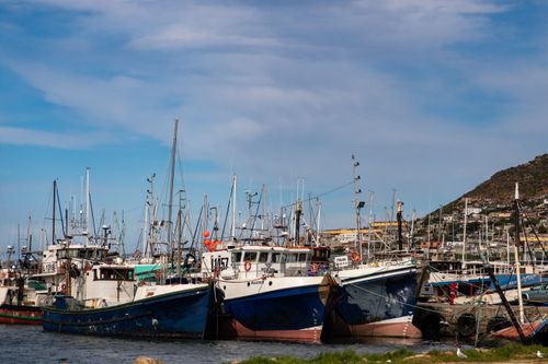 Free A scenic view of fishing boats docked at a marina in Cape Town, South Africa. Stock Photo