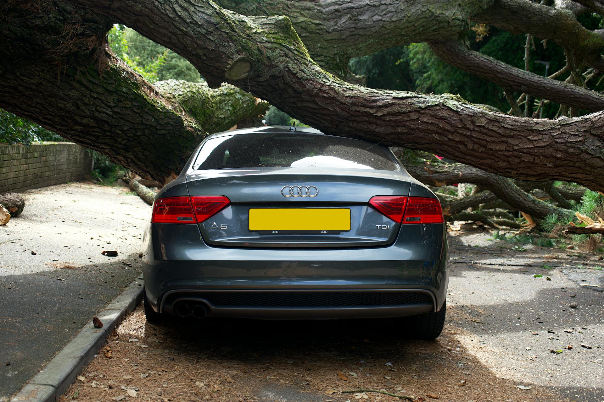 A Car Crushed by a Broken Tree