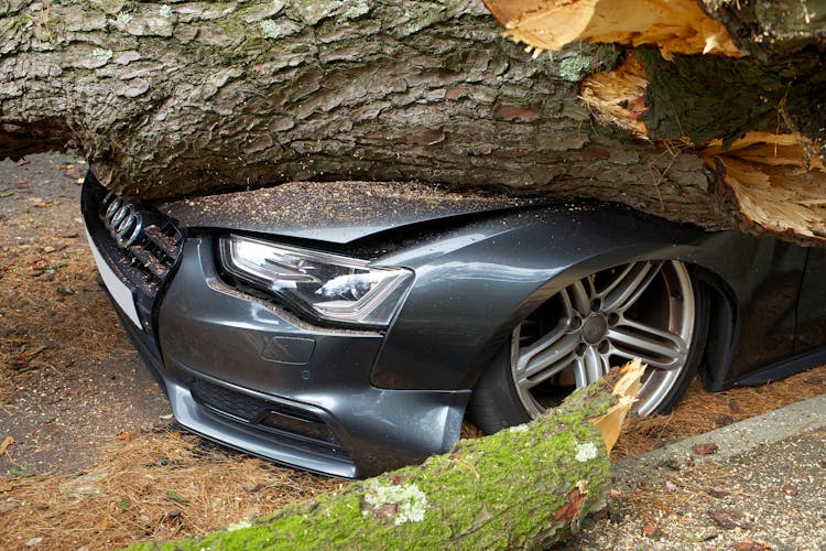 A Car Crushed By A Broken Tree