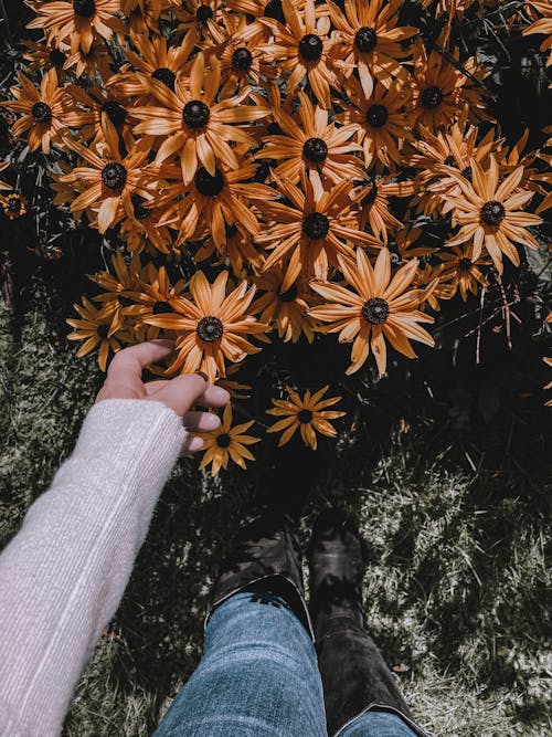 Gesichtslose Person, Die Blumen Im Garten Berührt