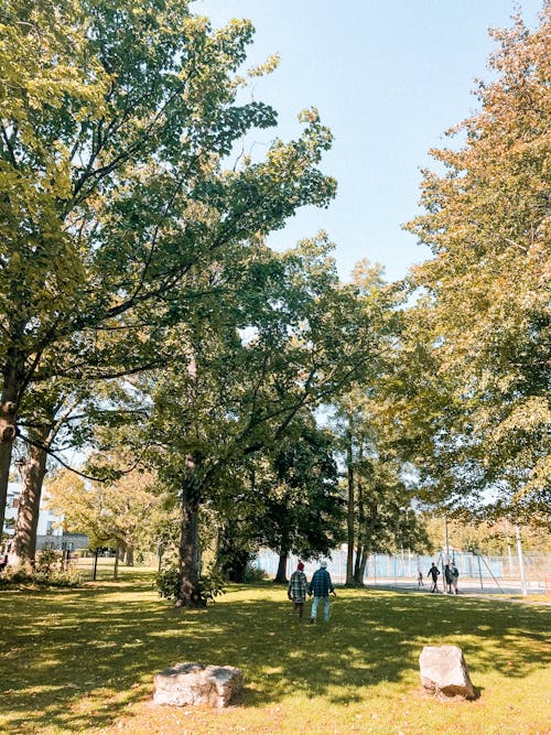 Group of faceless people walking on bright verdant grass in park immersed in greenery under clear sky in sunlight