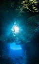 Person in Water With Blue and White Lights