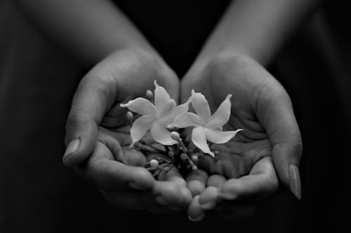 Flowers in the Hand of a Person