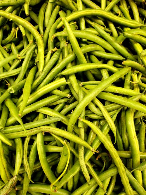Free Close-up image showcasing fresh green beans in abundance, ideal for healthy eating concepts. Stock Photo