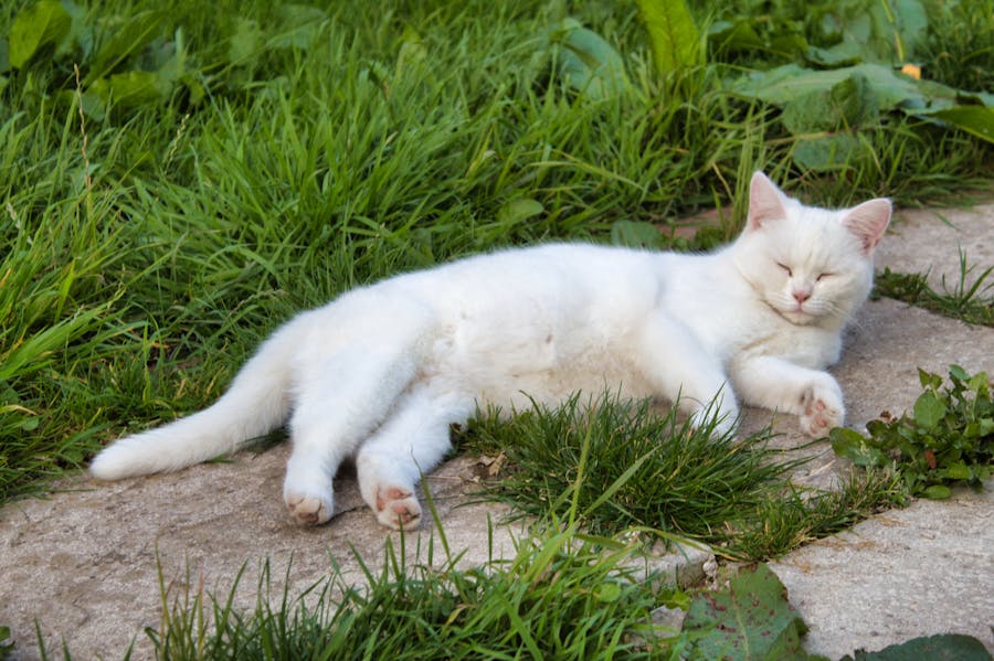 Salud y esperanza de vida en España