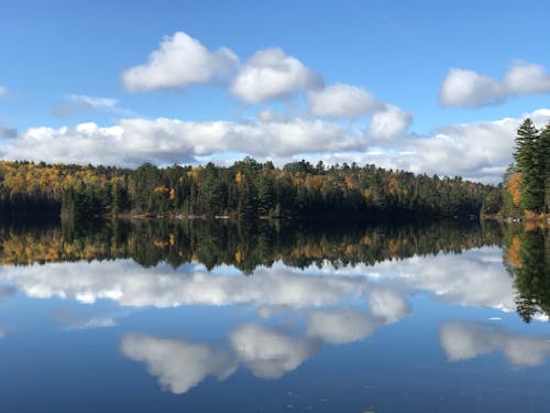 Gratis lagerfoto af blåt vand, boreal skov, himmel