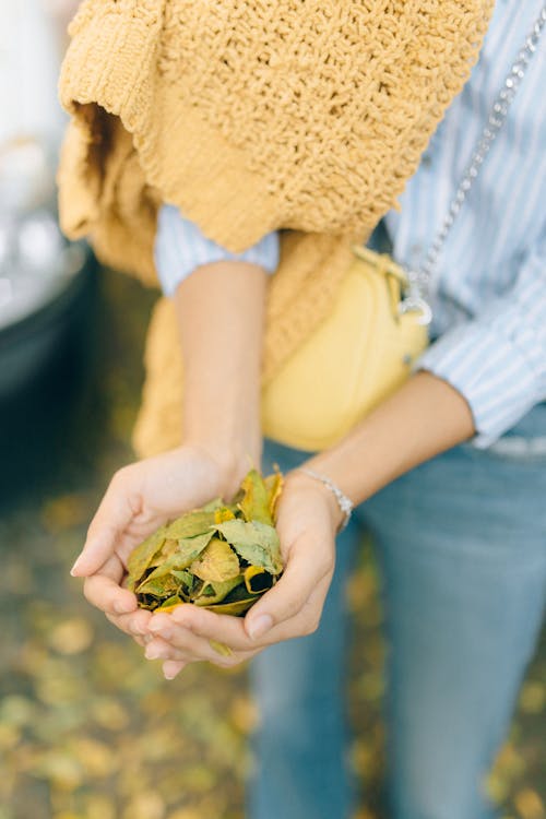 Hands Holding Autumn Leaves