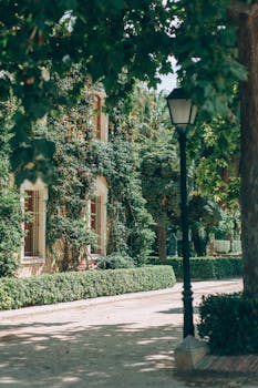 阳光明媚的日子里，宁静的公园景观与常春藤覆盖的建筑和经典的路灯相映成趣