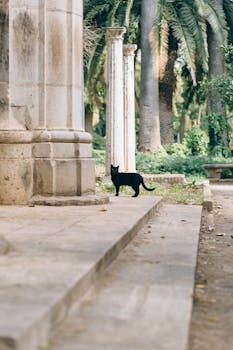 一只黑猫站在古老遗址的石阶上，四周环绕着棕榈树