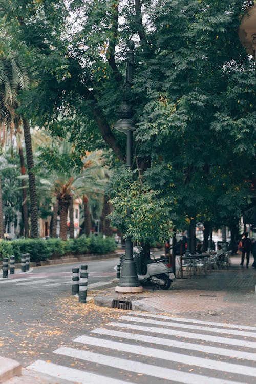 Fotos de stock gratuitas de 4k, acera, carril peatonal