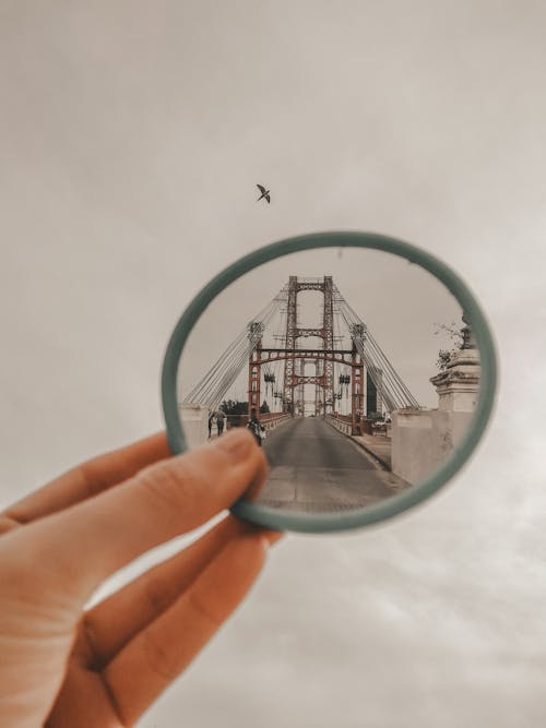 Free Crop anonymous person standing on street and raising hand with round mirror with reflection on city bridge against cloudy sky with soaring bird Stock Photo