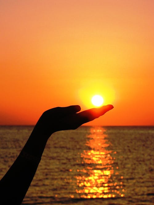 人类的手，握着太阳的剪影在海洋摄影附近设置了