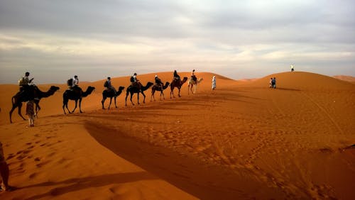 Human Riding Camel on Dessert Under White Sky during Daytime