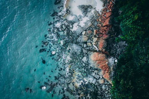 Aerial view of turquoise seawater washing stony coast covered with lush greenery on clear day