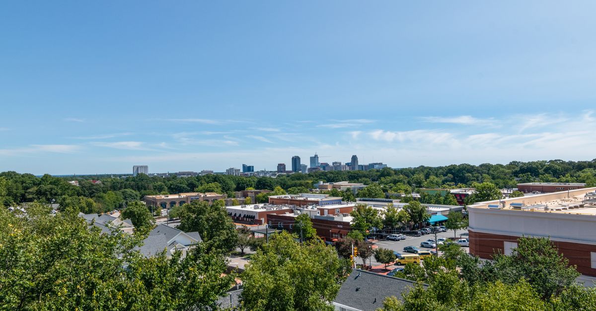A vibrant view of Raleigh, NC skyline on a sunny day with lush greenery and clear blue sky.