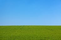 广阔的绿地与清澈的蓝天相得益彰，是理想的背景选择