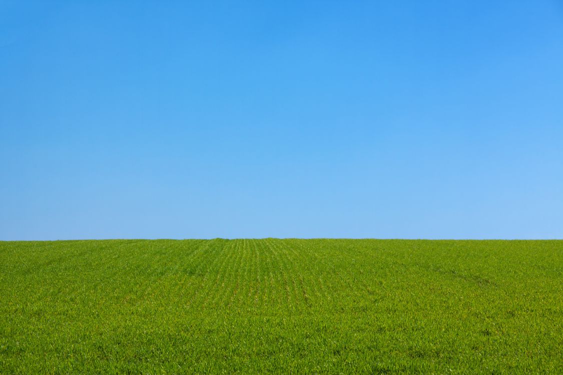 Green Grass Field Under Blue Sky · Free Stock Photo