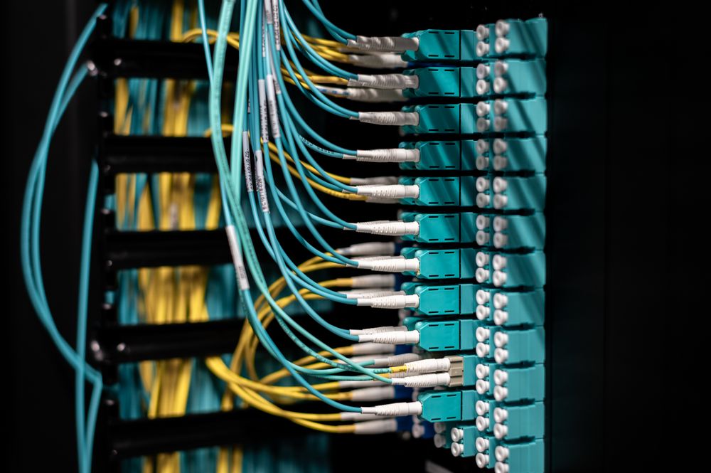 Organized Ethernet patch cables connected to a network patch panel in a server rack