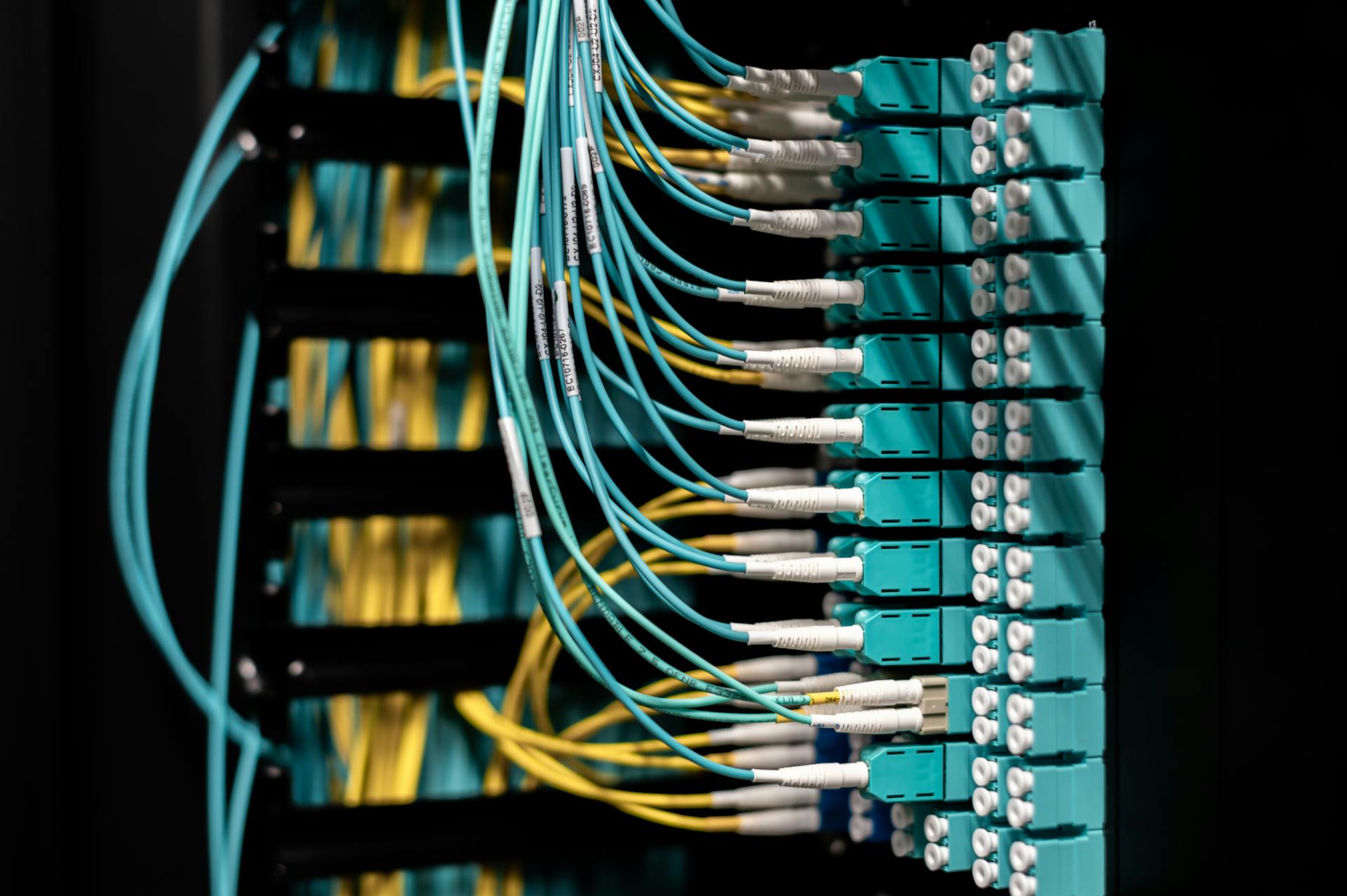 Close-up view of neatly arranged fiber optic cables in a patch panel for efficient data management.