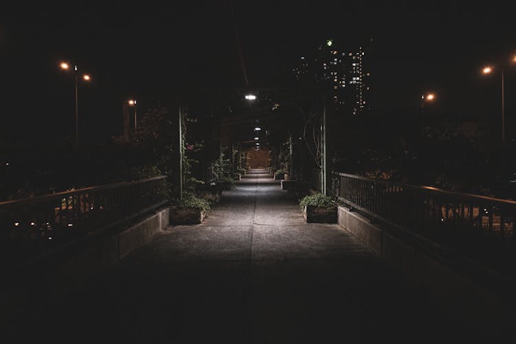 Dimly Lit Park Alley At Night