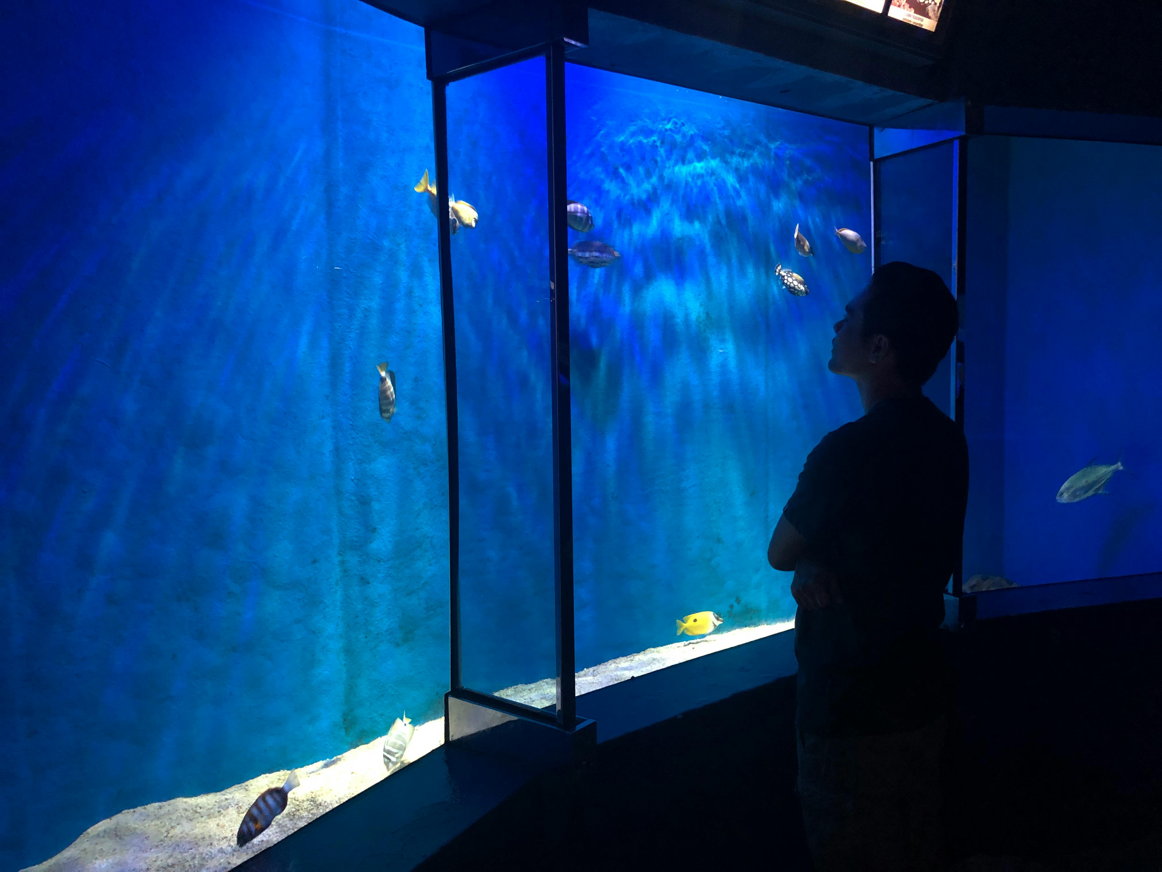 Dr. Michael A. Baylin