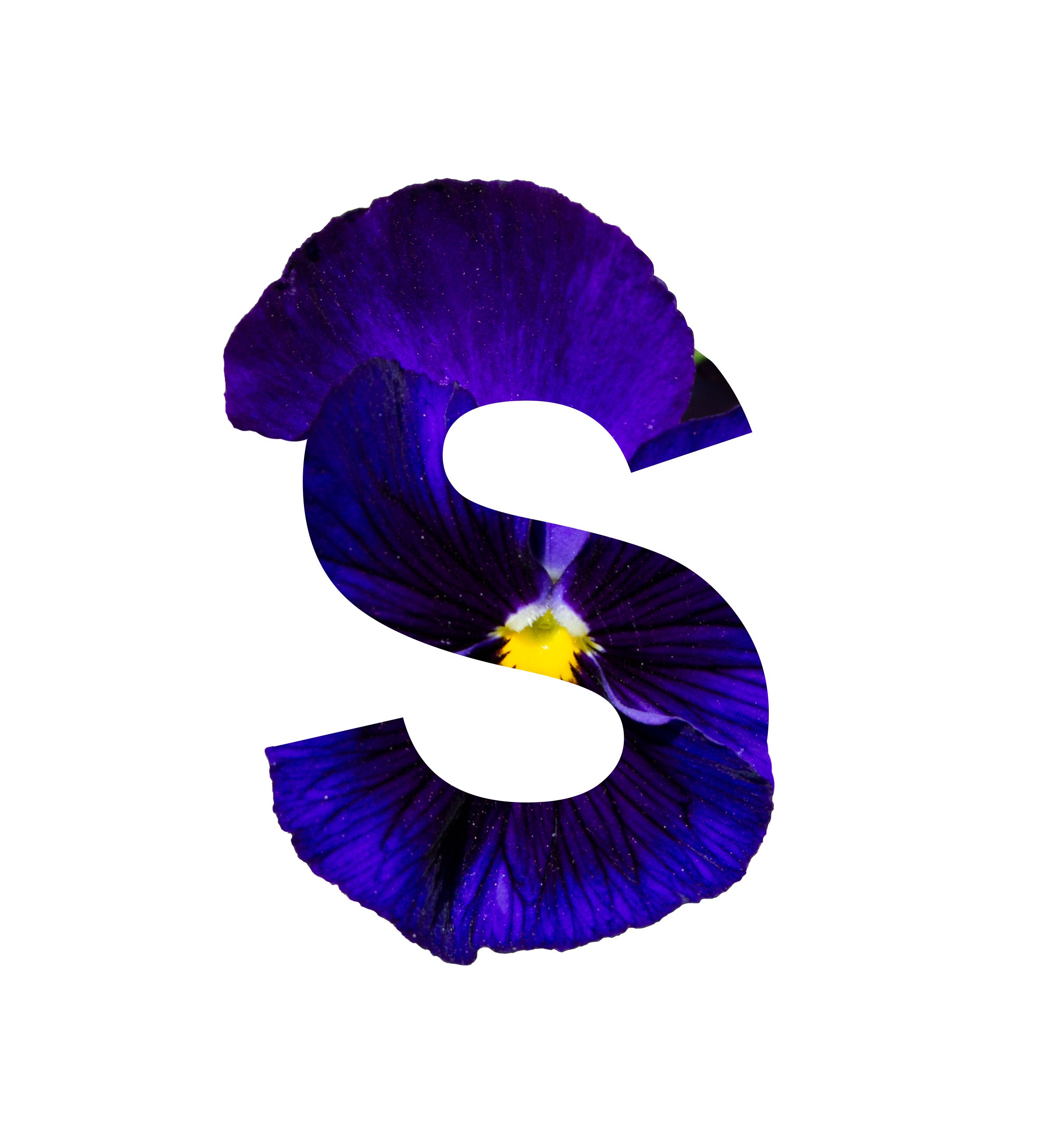 Smile design digital