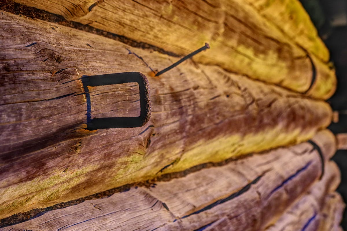 Fans holding light sticks at a concert creating a sea of lights