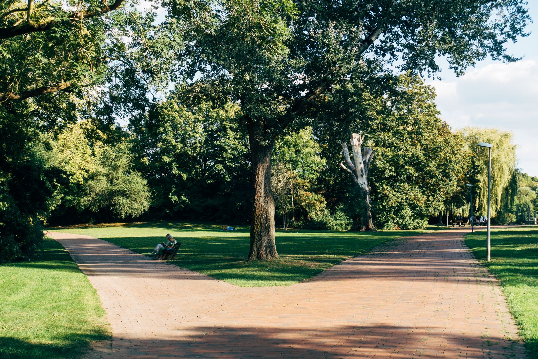 Open lawns and walking trails at J. Travis Price Park