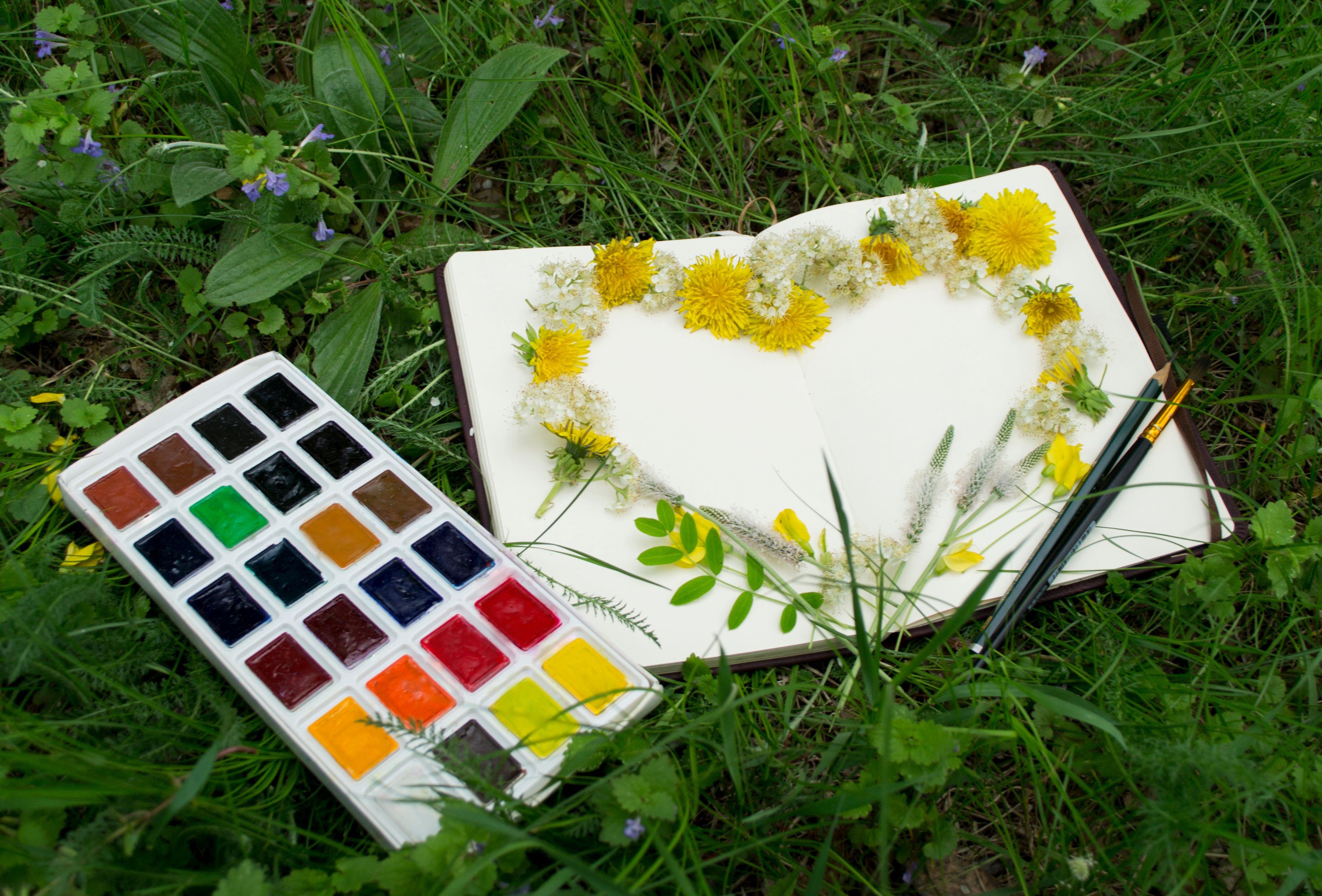 50 Imagens de Flores Botânicas para Colorir - 1ª Edição COL10