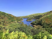 Green Trees Near River Under Blue Sky