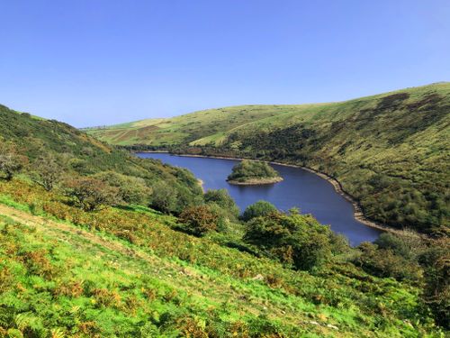 Free Picturesque landscape of Meldon Reservoir with lush greenery and serene water in Devon, UK. Stock Photo