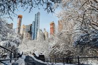 大桥附近，白雪覆盖着无叶的树木，摩天大楼高大雄伟，白天天空无云
