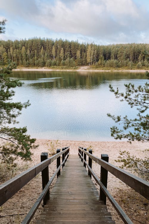 bezplatná Základová fotografie zdarma na téma dřevěný, jezero, krajina Základová fotografie