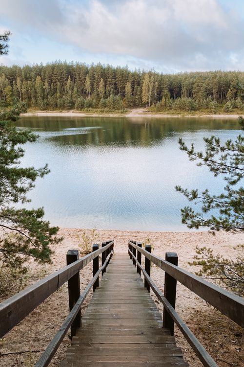 Free A serene view of a wooden boardwalk leading to a calm lake surrounded by trees. Stock Photo