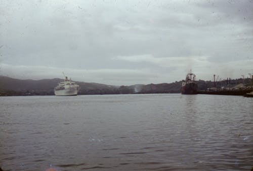 A Cruise Ship Near the Port