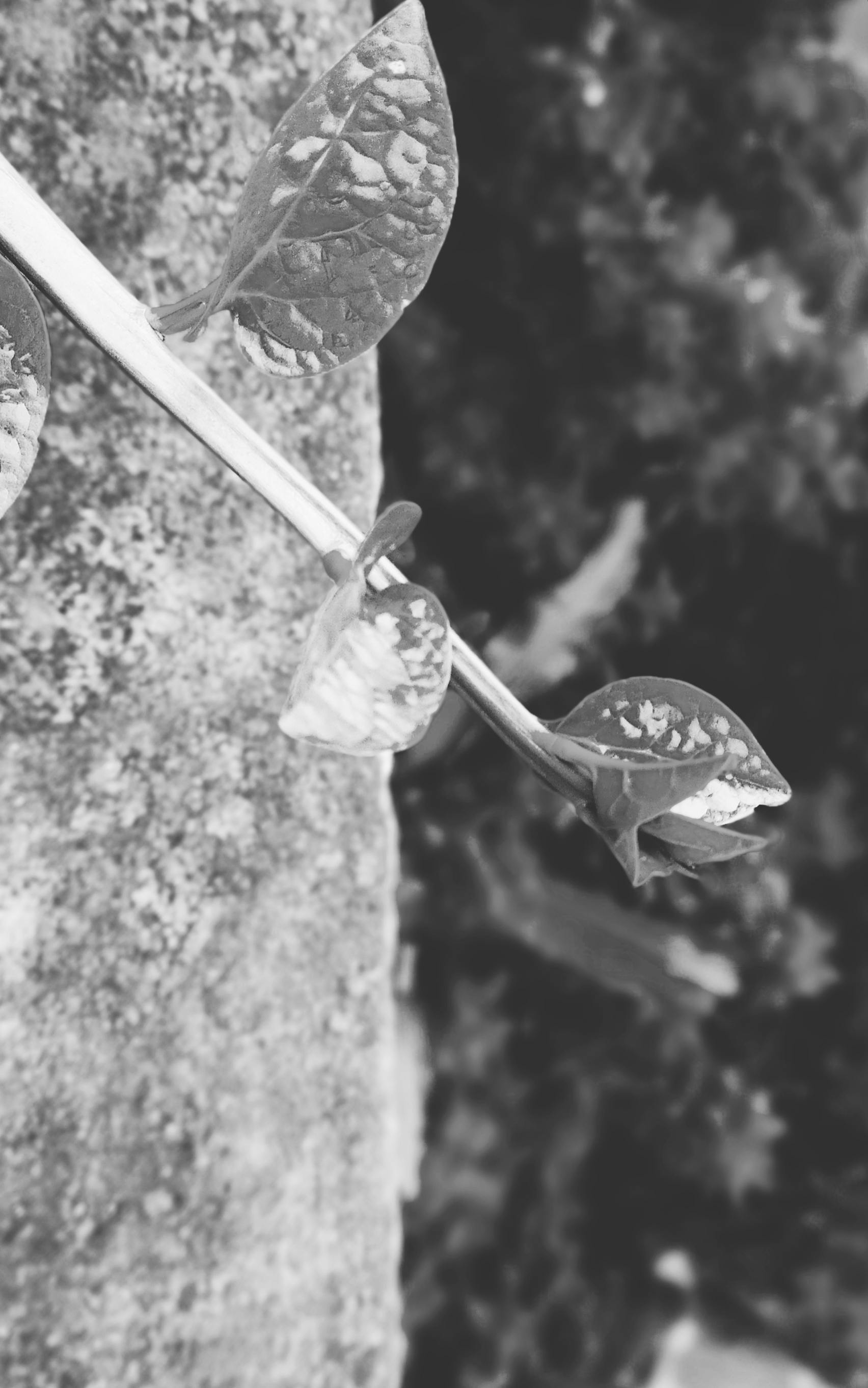 Jatrabari 4 Photos & Videos Collected by Rabby topu