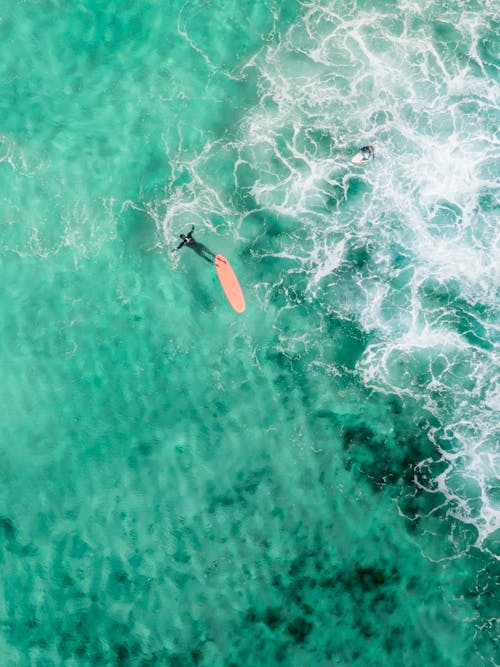 Drone view of faceless surfer in wetsuit swimming near longboard in vibrant turquoise lagoon in sunlight